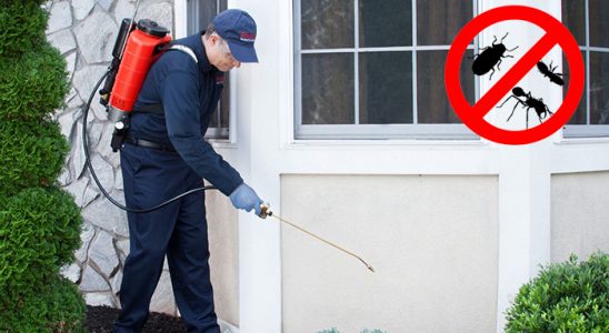 Anamur Gümüşkurt İlaçlama böcek ilaçlama ve haşere kontrolü — ilaclama-tr.com
